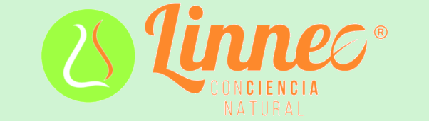 Logo fonde verde agua